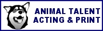 Animal Talent